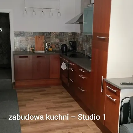 Urocze Studia: Sauna, Kominek I Ekonomiczne Opcje Blisko Warszawy Lomianki